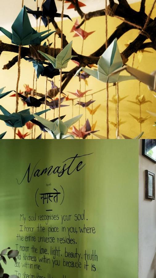 بيت شباب Namaste تبليسي المظهر الخارجي الصورة